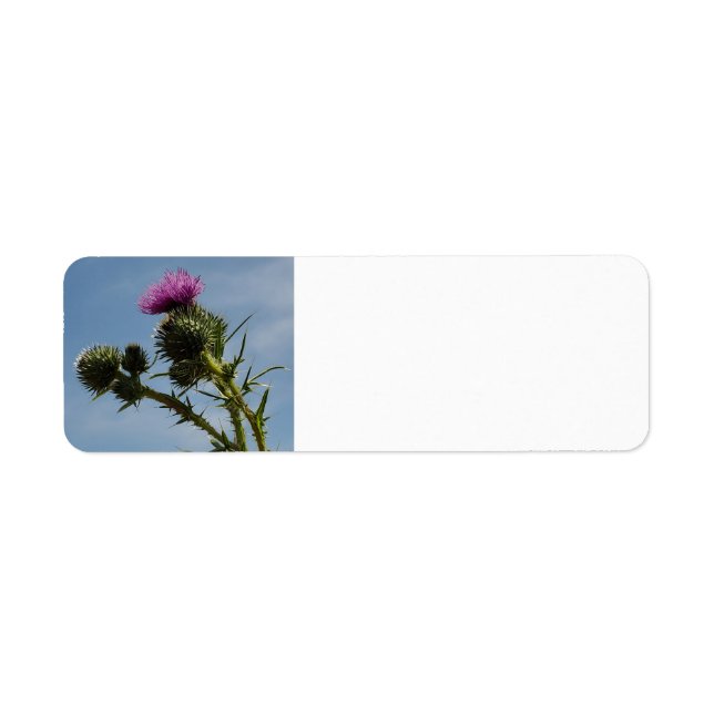 Thistle Label (Front)