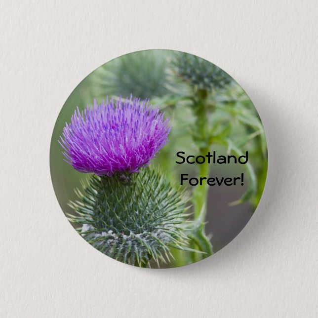 Thistle Pinback Button (Front)