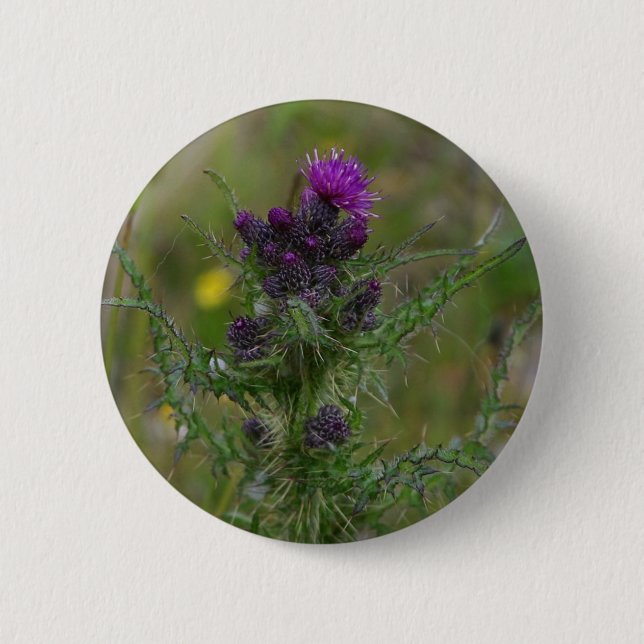Thistle Pinback Button (Front)