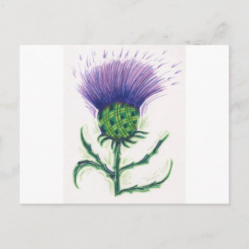 Thistle with a twist of tartan postcard