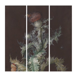 Thistle with Insects 1755 Johann C. Dietzsch Triptych