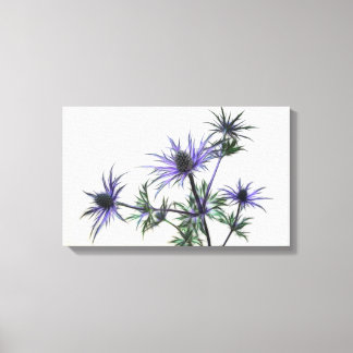 Thistles Canvas Print