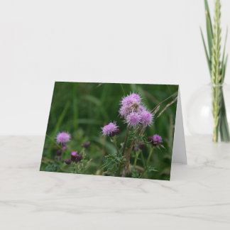 Thistles Card