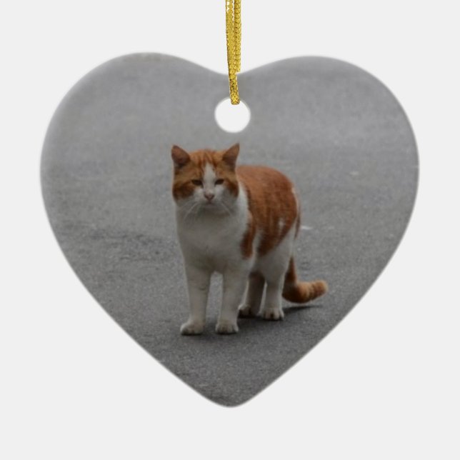 Thomas Ginger And White Cat Ceramic Ornament (Front)