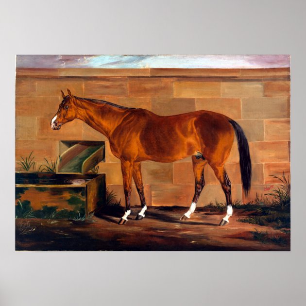 Thomas J Scott Portrait Of Lexington Poster Zazzle   Thomas J Scott Portrait Of Lexington Poster R85331124231349b8bf990f2d886d8538 Fsr65 8byvr 630 