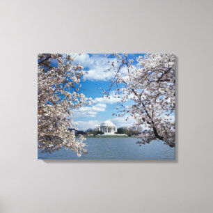 Thomas Jefferson Memorial with Cherry Blossoms Canvas Print