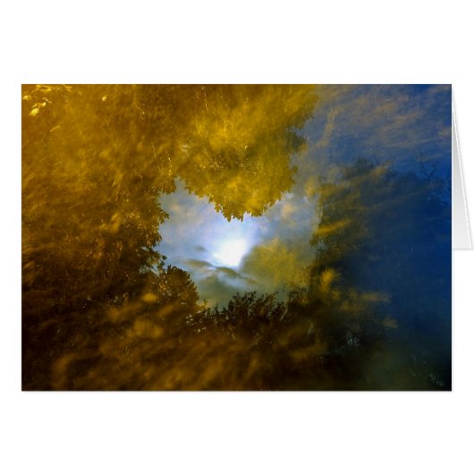 "thomas moran closed-eye vision" cards (Front Horizontal)