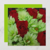 Thomasse (Front/Back)