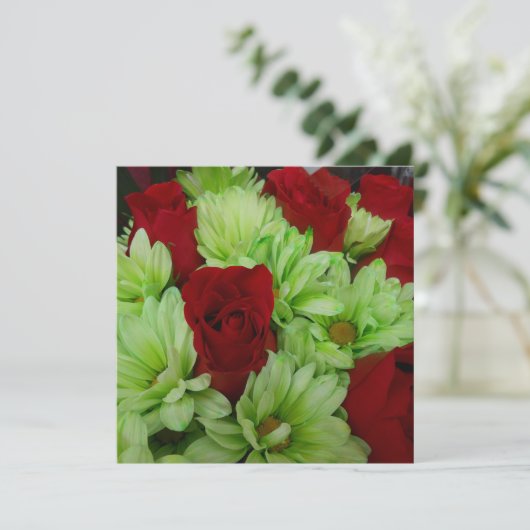 Thomasse (Standing Front)