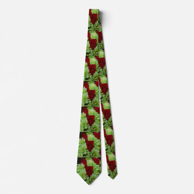 Thomasse Neck Tie (Front)