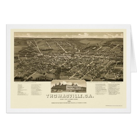 Thomasville, GA Panoramic Map - 1885 Cards (Front Horizontal)