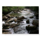 Thompson River