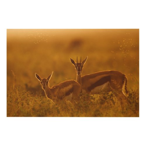 Thompsons Gazelle Gazella Thomsonii Mother Wood Wall Decor