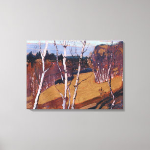 Thomson - Moonlight, Algonquin Park Canvas Print