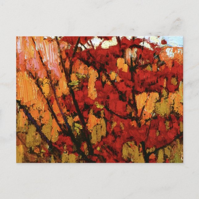 Thomson - Soft Maple in Autumn Postcard (Front)