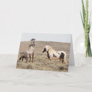 Thor and Booker Rose Greeting Card