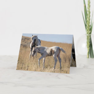Thor and Thudra Letterpress Thank You Card