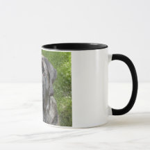 Thor Mastiff Mug