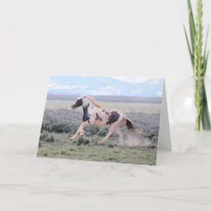 Thor of McCullough Peaks Greeting Card