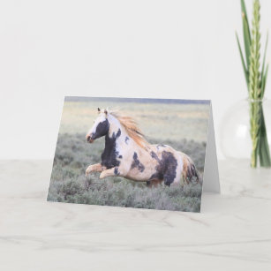 Thor of McCullough Peaks Greeting Card