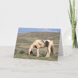 Thor of McCullough Peaks Thank You Card
