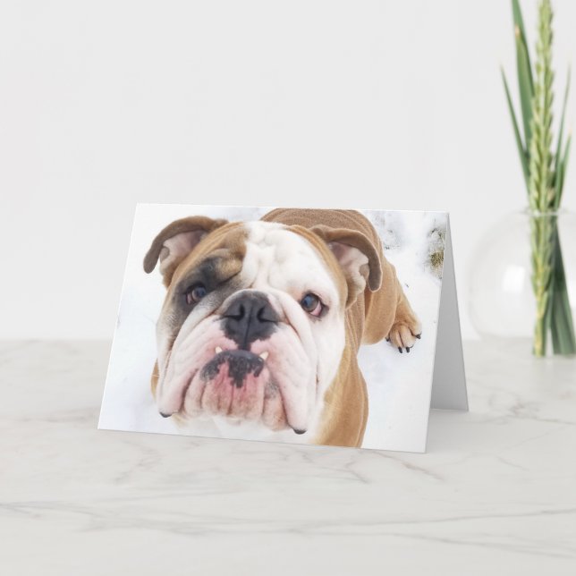 Thor The Bulldog Greeting Card (Front)