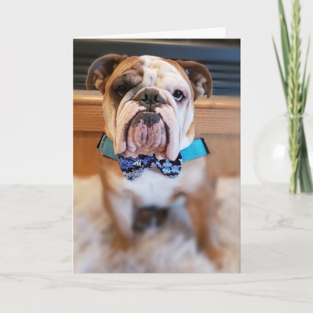 Thor The Bulldog Merry Christmas Card (Front)