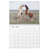 Thor & Thora at McCullough Peaks Wild Horses Calendar (Mar 2025)