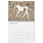 Thor & Thora at McCullough Peaks Wild Horses Calendar (Feb 2025)