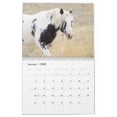 Thor & Thora at McCullough Peaks Wild Horses Calendar (Jan 2025)