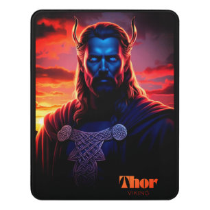 THOR VIKING DOOR SIGN