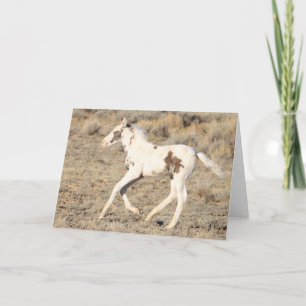 Thora of McCullough Peaks Thank You Card