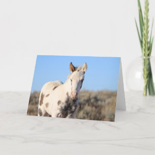 Thora of McCullough Peaks Thank You Card