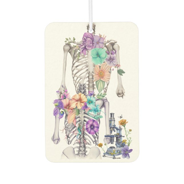 Thoracic cage air freshener (Front)