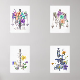 Thoracic cage wall art sets