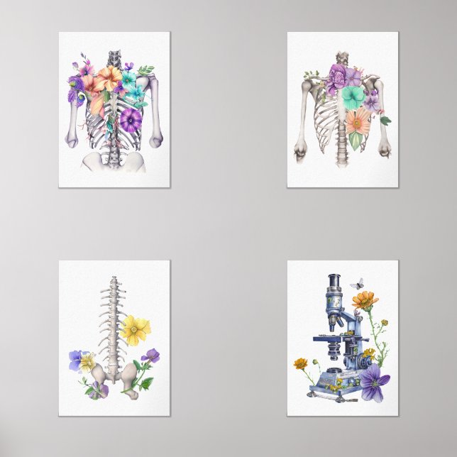Thoracic cage wall art sets (Front)