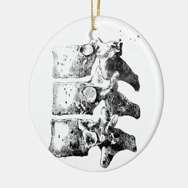 Thoracic vertebrae ceramic ornament (Left)