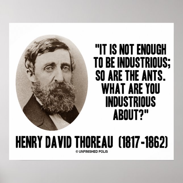 Thoreau Not Enough To Be Industrious So Are Ants Poster (Front)