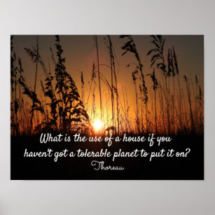 Thoreau quote - planet --- poster