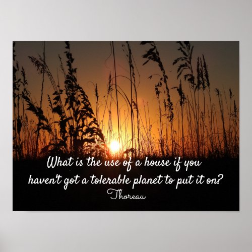 Thoreau quote _ planet ___ poster