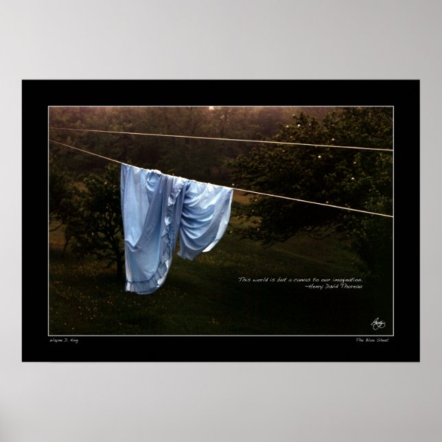 Thoreau Quote Poster "The world is but a canvas" (Front)