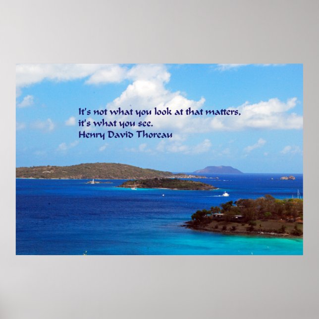 Thoreau wisdom poster (Front)