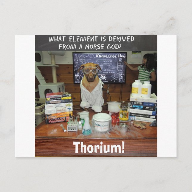 Thorium Thor God of Thunder Knowledge Dog Postcard (Front)