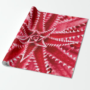 thorn cactus,  natural pattern,  abstract red back wrapping paper