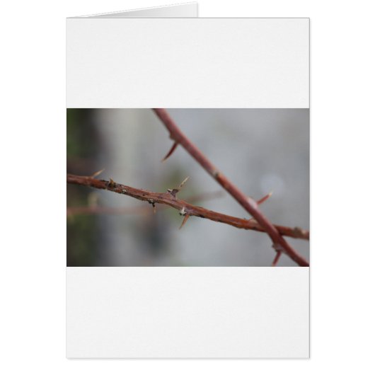 Thorns Cards (Front)