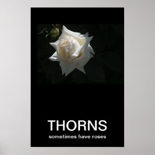Thorns Sometimes Have Roses Demotivational Poster