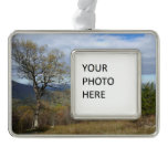 Thornton Gap View in Spring Christmas Ornament