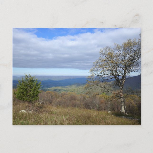 Thornton Gap View in Spring Postcard (Front)