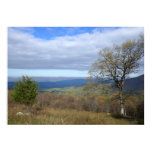 Thornton Gap View in Spring Poster