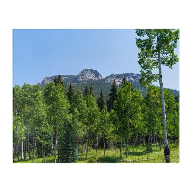 thorodin summit above woodlands at golden gate acrylic print (Front)
